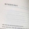 홍준표 과거 에세이 ‘돼지 흥분제 이야기’ 내용 논란