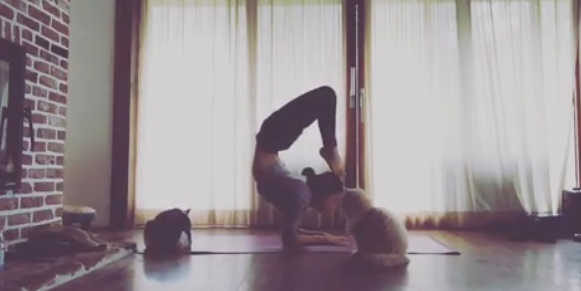 이효리 인스타그램 캡처