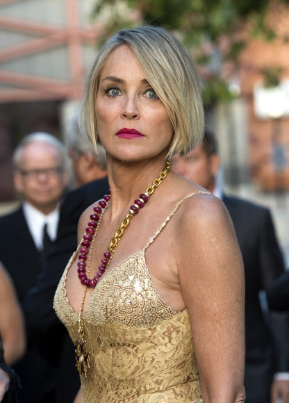 헐리우드 스타 샤론 스톤이 22일(현지시간) 미국 캘리포니아주 LA의 캘리포니아 사이언스 센터에서 열린 루푸스 질환 관련 행사인 ‘Lupus LA’s 2017 Orange Ball: Rocket To A Cure’에 참석해 포즈를 취하고 있다. AFP 연합뉴스