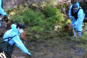 안양 한 야산서 우측 다리 토막시신 발견