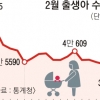2월 출생아 또 역대 최저… 올 40만명 무너질 듯