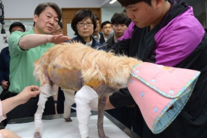 安 “대한민국 확실하게 개혁”