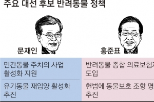 [대선이슈 집중분석] ‘반려동물 인구’ 1000만명 정책은 봇물… 내용은 ‘미흡’