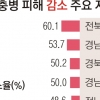 작년 소나무재선충 피해 99만 그루