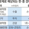 “中 사드 보복에 한국 올 8조 5000억원 손실”
