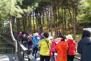 요즘 금천구는 ‘1530 걷기 운동’ 열풍