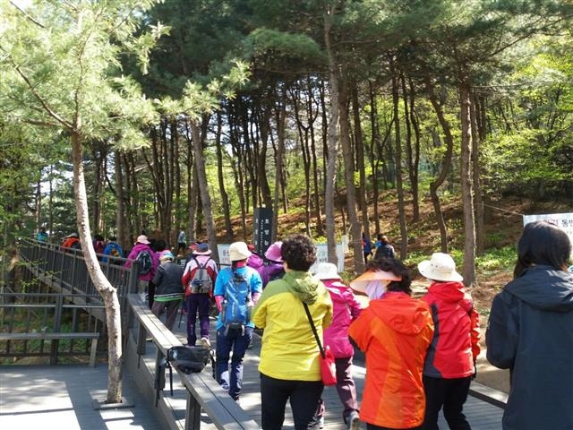 지난달 11일 서울 금천구 시흥4동 걷기동아리 회원 60여명이 호암늘솔길을 걷고 있다. 금천구 제공