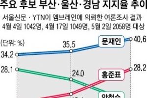 “文이 대세”  “洪 아임니꺼”  “安, 주관 뚜렷”