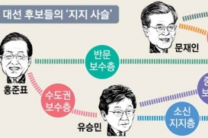 물고 물린 ‘지지 사슬’… 文은 심·안, 洪은 안·유, 安은 유 경계