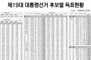 제19대 대통령선거 후보별 득표현황