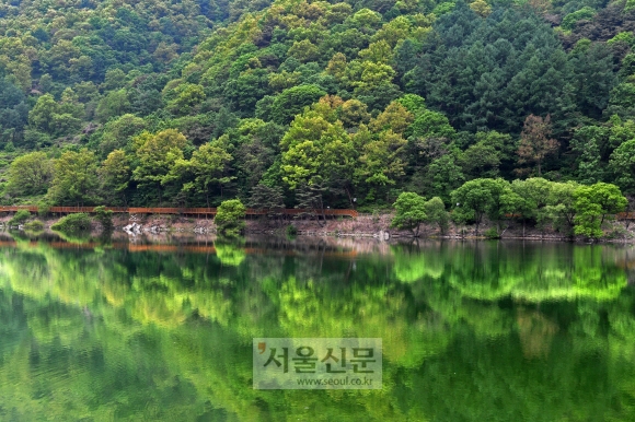 좌구산 초입의 삼기저수지. 저수지를 따라 ‘등잔길’이 조성돼 있다. 형설지공의 뜻이 담긴 길이니 학생 자녀와 함께 걸어보는 것도 좋겠다.