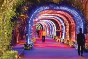 밤에 피는 LED 장미… 여심 저격 준비 끝