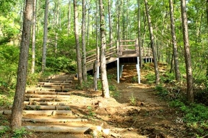 의왕 ‘치유숲길’ 7월 정식 오픈