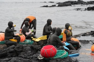 제주 고령 해녀 월 20만원 수당 받는다