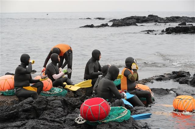 물질작업을 준비 중인 제주 해녀 모습. 제주도 제공