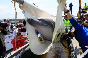 고향 제주 바다 품에