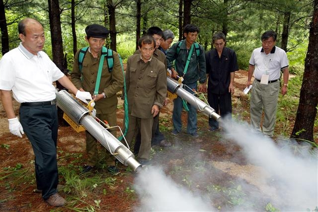 남북강원도 교류사업으로 2003년부터 2009년까지 이어진 잣나무넓적잎벌 방제사업은 남북 산림환경 교류의 모범 사례로 꼽히고 있다. 사진은 방제 모습. 강원도 제공