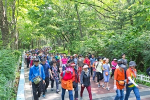 신록과 음악의 향연 강서에서 즐겨요