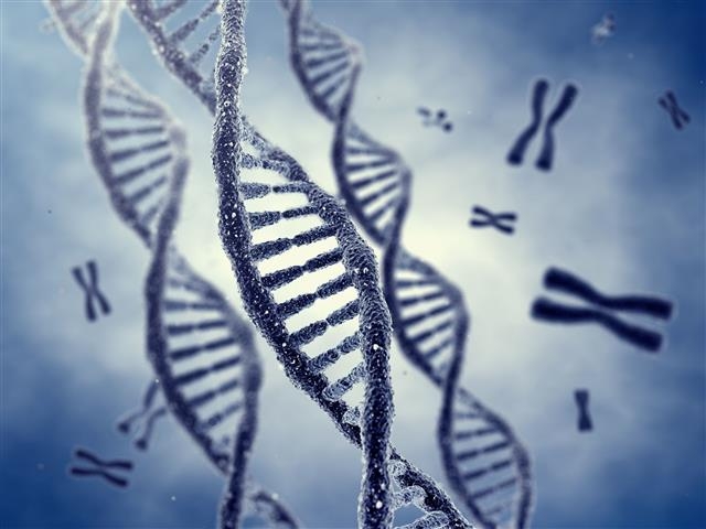 과학자들이 사람의 지능과 관련한 유전자 52개를 발견했다. 출처 123RF
