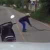 도로 위 뱀 발견한 바이커의 놀라운 행동
