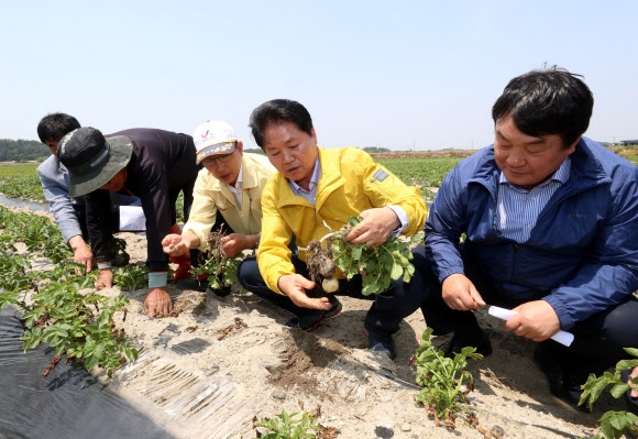 김병원 농협중앙회장, 충남 가뭄 농가 방문 
