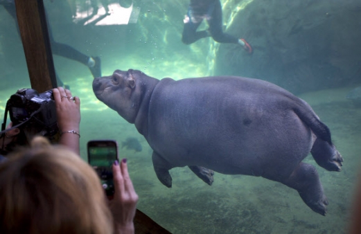 [포토] “오늘 데뷔했어요”