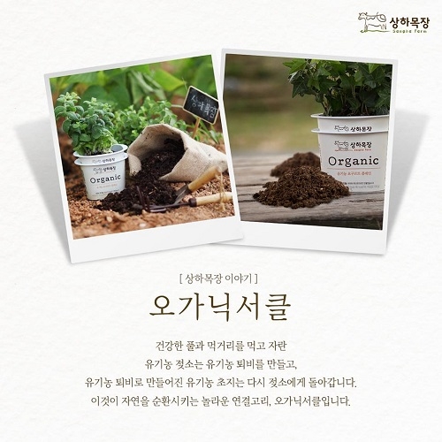 매일유업의 친환경 유기농 브랜드인 ‘상하목장’은 유기데이(6.2)를 맞아 2일 하루 동안 이마트 주요 5개 지점(용산점, 가양점, 성수점, 자양점, 가든점)에서 브랜드 제품을 구매한 선착순 500명 고객에게 ‘오가닉 서클 키트’를 특별 증정(지점당 100명)할 예정이라고 1일 밝혔다.