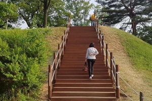 “몽촌토성 탐방로 예뻐진대요~ ‘힐링길’ 되겠네”