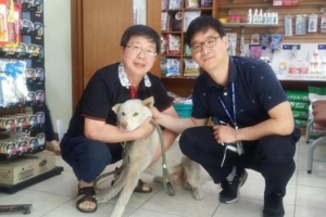 안락사당할 뻔한 우리 순풍이, 양천구청 아저씨가 찾아 줬어요