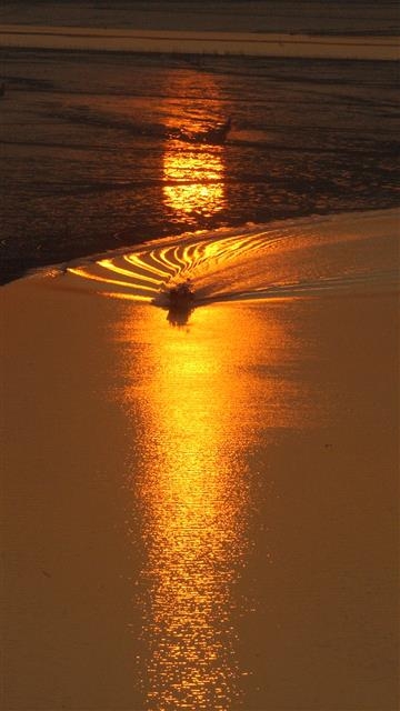 서울신문 DB 서울신문 DB