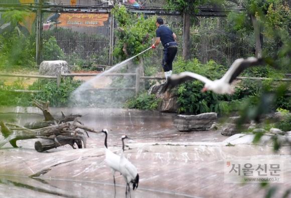 조류인플루엔자가 확산되고 있는 가운데 6일 오후 과천 서울대공원 방역사들이 출입이 통제된 조류사에 방역작업을 하고 있다.  도준석 기자 pado@seoul.co.kr