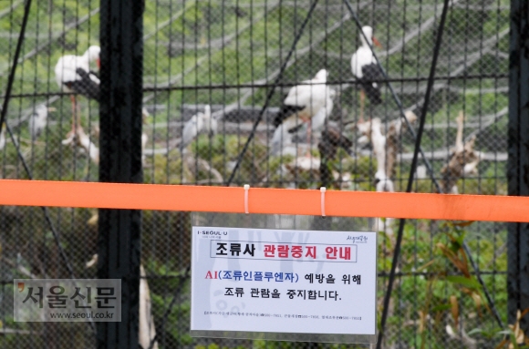 조류인플루엔자가 확산되고 있는 가운데 6일 오후 과천 서울대공원조류사에 출입금지 안내문이 걸려 있다. 도준석 기자 pado@seoul.co.kr