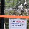 [서울포토] ‘AI 예방을 위해 조류 관람 중지합니다’