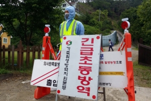 재래시장이 AI 확산 주범…전북도, 소규모 농가 닭 살처분 추진