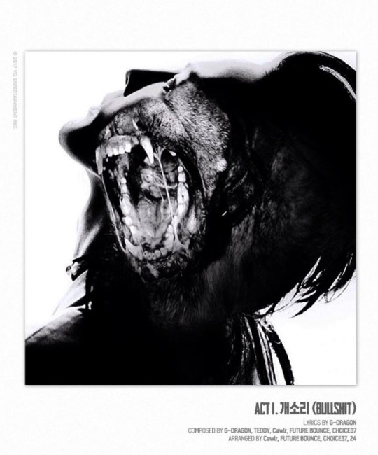 지드래곤 앨범은 USB로