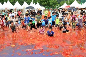 친환경 재배 ‘퇴촌 토마토’ 맛보세요