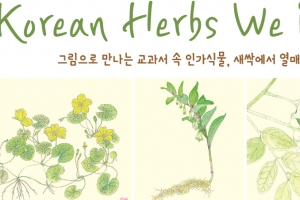 ‘새싹에서 열매까지’ 그림으로 만나는 교과서 속 인가식물