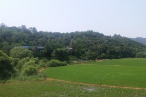 청강대 주변 양계장 악취에 20년째 ‘고통’