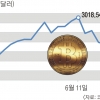 ‘불법’ 표적 된 비트코인