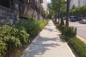 동작 가로수길 시원한 그늘 걸어요