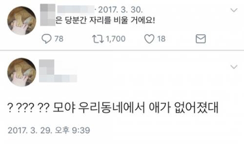 인천 초등생 살인범 SNS