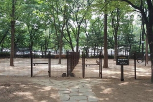 목줄 없이 ‘同幸’… 서초구에 반려견 전용 놀이터