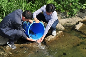 여주시,  쏘가리, 뱀장어 치어 3만 2500 마리 방류