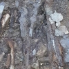 경산서 1500여년 전 압독국 최고 지배층 무덤 발굴