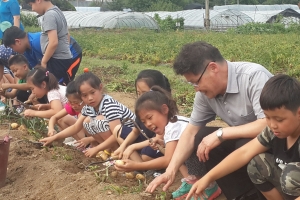 “감자 캐러 성남시민농원 가자”