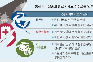 ‘요금인하’에만 맞춘 정부 칼날… 시장질서 침해냐 바로잡기냐