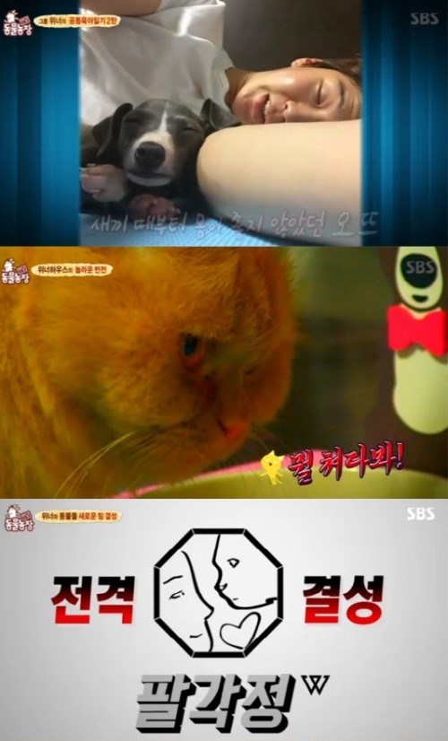 ‘동물농장’ 위너