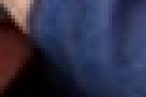 조억동 광주시장 가뭄. AI 긴급 점검