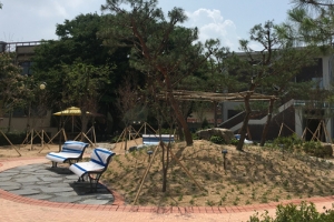 여주시, 대신고등학교 교정에 명상숲 조성