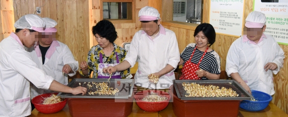 서울 강서구 ‘다사랑직업재활시설’에서 50+세대들이 장애인들과 함께 콩나물과 땅콩새싹을 재배하고 있다.